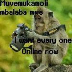 Murungi Samtrever